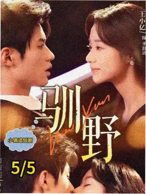 第九书库剧集索引卡封面
